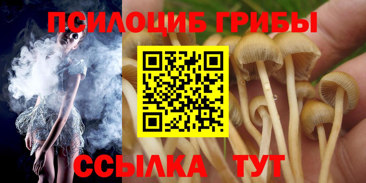 Канаш  наркотики  Вход с VPN  Псилоцибиновые грибы GOLDEN TEACHER 